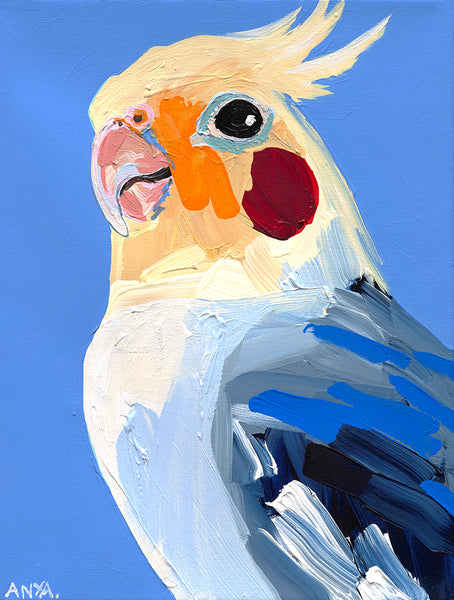 'High On Expectation'