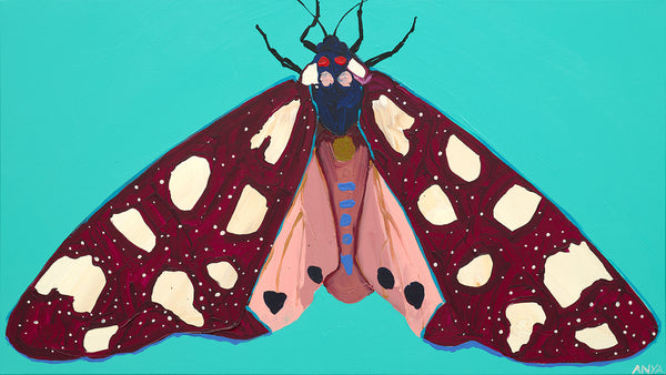 'Moth no.57' CANVAS PRINT