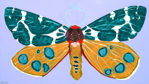 'Moth no.61' CANVAS PRINT