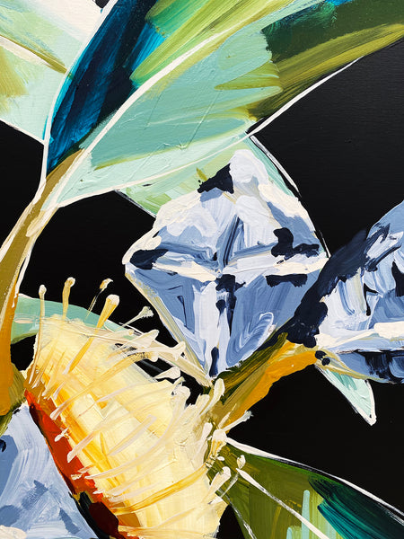 'A Comforting Illusion'