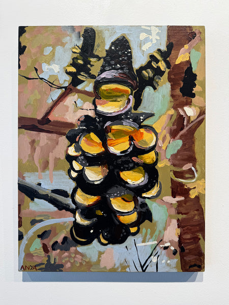 'Burnt Pod'