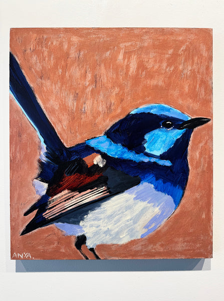 'Fairy Wren'