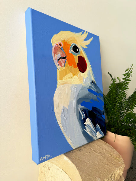 'High On Expectation'