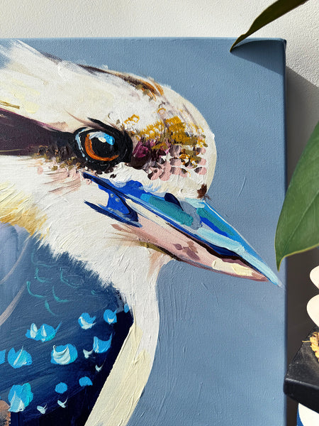 ‘Kookaburra Seven’