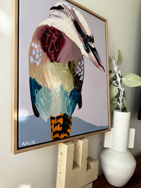 'Kookaburra Three' Framed Canvas Print