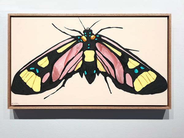 'Moth no.60' CANVAS PRINT