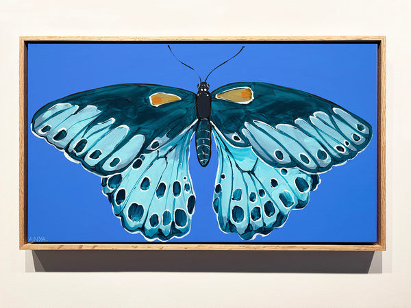 'Moth no.62' CANVAS PRINT