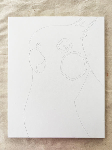PAINT A PARROT Tues 8th July