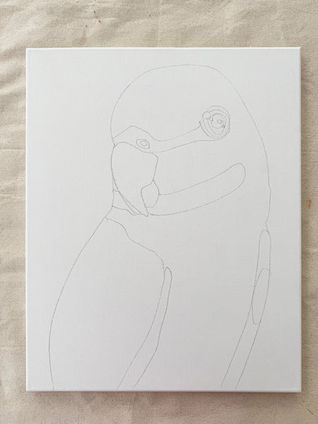 PAINT A PARROT Mon 14th July