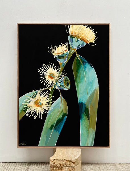 'Taken To Dark Places'