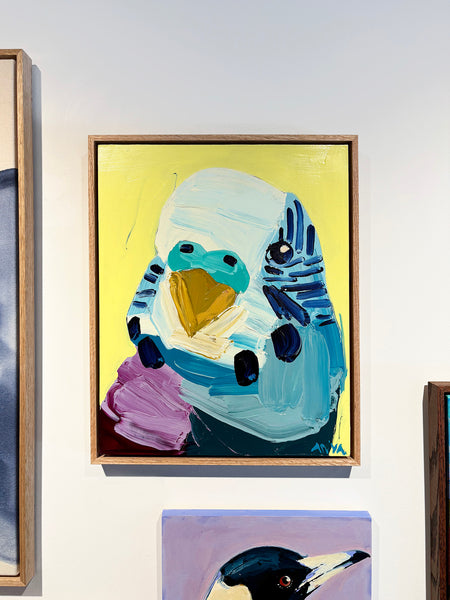 'Yellow Budgie'