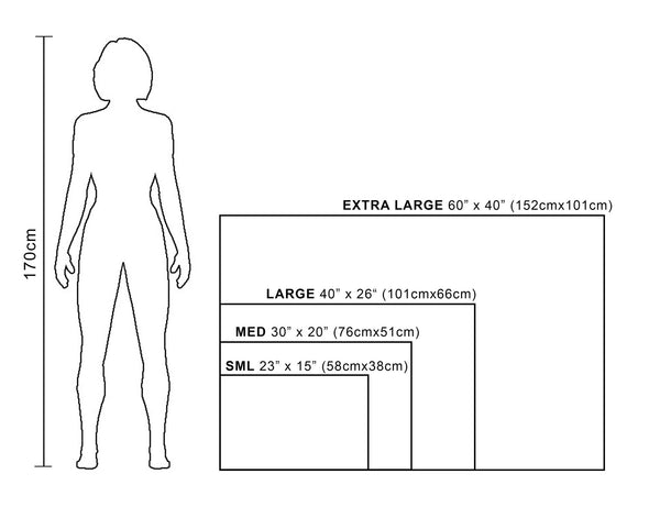 'Before I Go' CANVAS PRINT