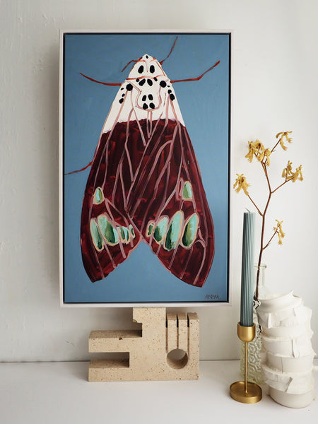 'Moth #13' CANVAS PRINT