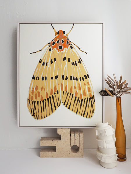 'Moth #22' PAPER PRINT