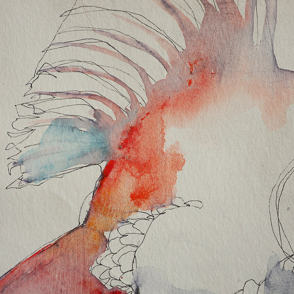 'New York Multi Fish'