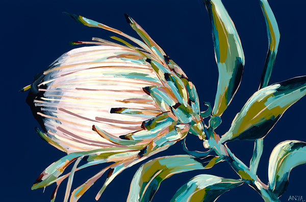 'Show Me The Shadows' PAPER PRINT