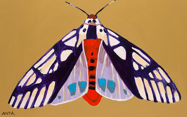 'Moth #4' CANVAS PRINT