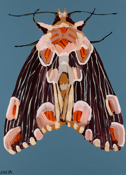 'Moth #9' CANVAS PRINT