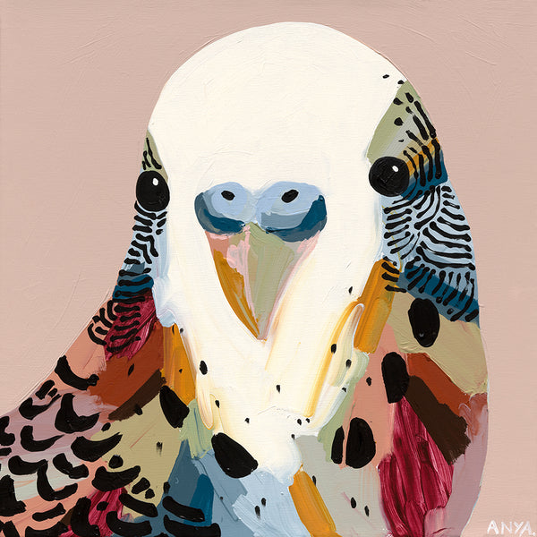 'Budgie Three' CANVAS PRINT