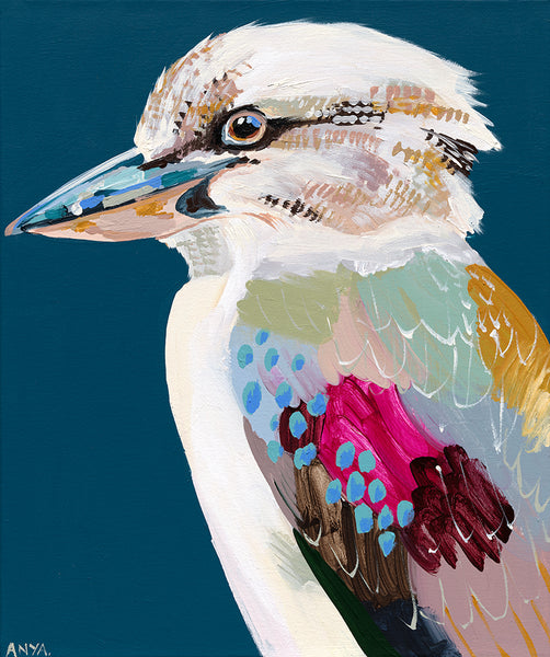 'Kookaburra Four'