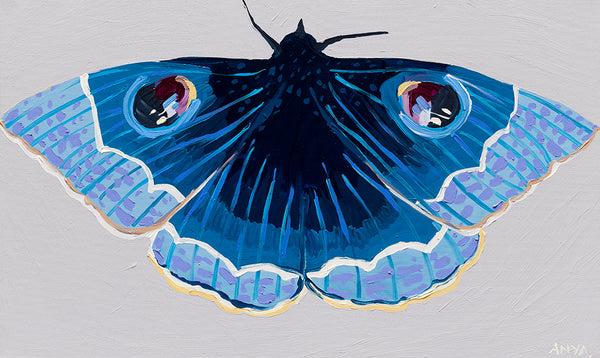 'Moth #15' PAPER PRINT