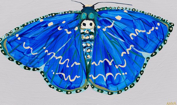 'Moth #20' PAPER PRINT