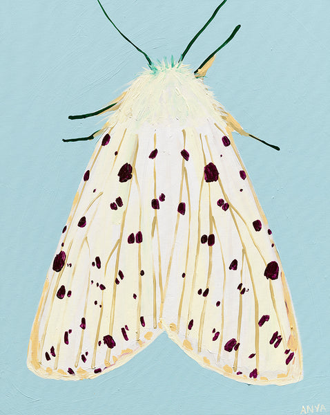 'Moth #26' PAPER PRINT