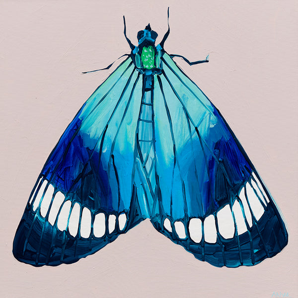 'Moth #35' PAPER PRINT