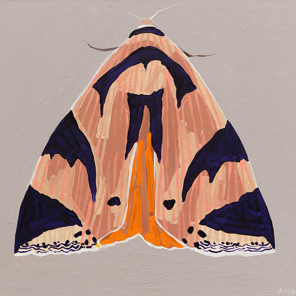 'Moth #38' CANVAS PRINT