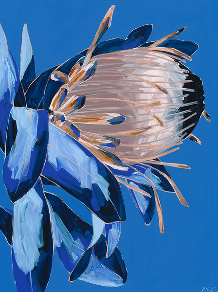 'Stilled in Existence'