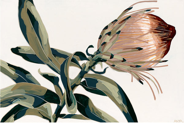 'The Intent For Truth'