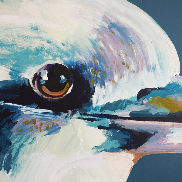 'A Recognised Belonging'