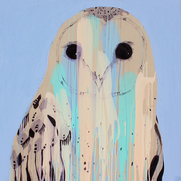 'Biro Owl' PAPER PRINT