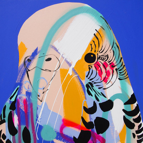 'Budgie Six' CANVAS PRINT