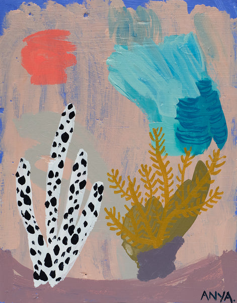 'Coral Study #12' PAPER PRINT