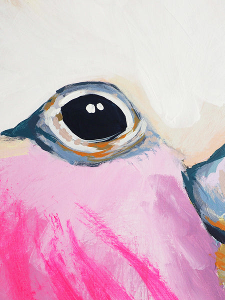 'Intended Discomfort'