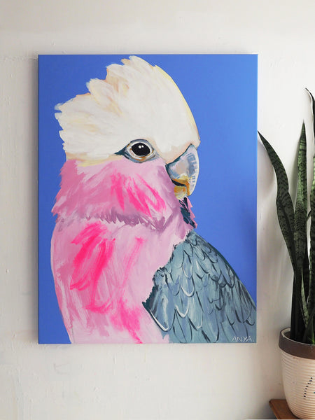 'Intended Discomfort'