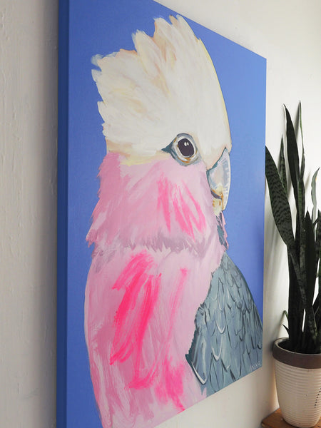 'Intended Discomfort'