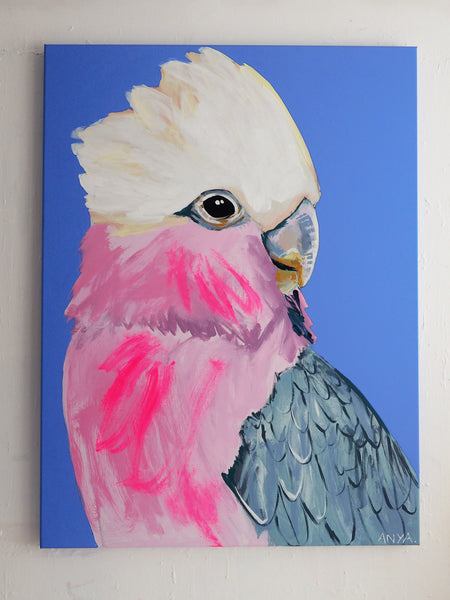 'Intended Discomfort' CANVAS PRINT