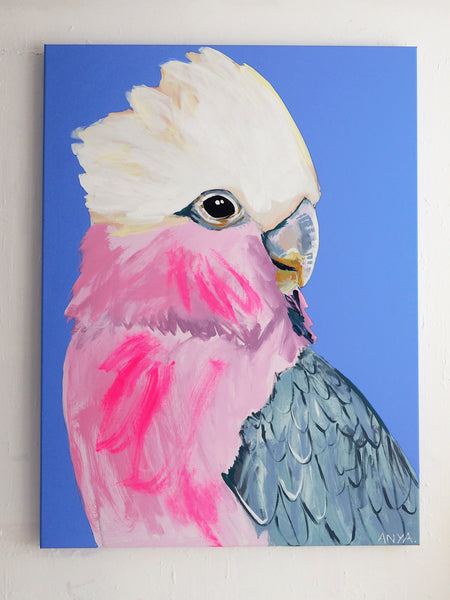 'Intended Discomfort'