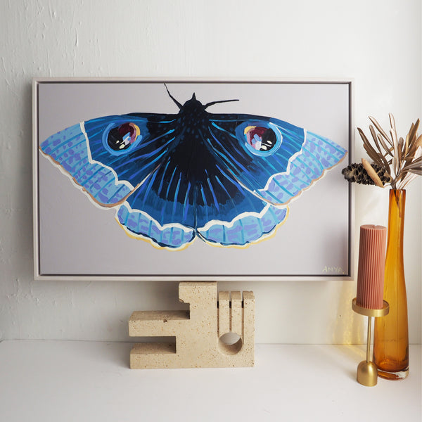 'Moth #15' CANVAS PRINT