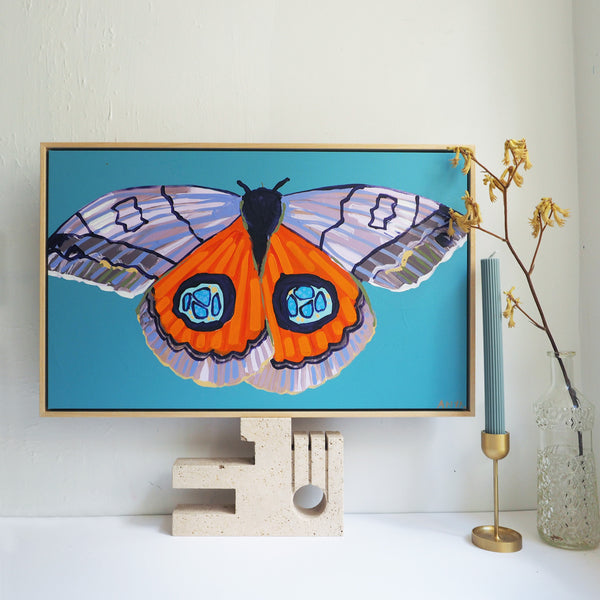 'Moth #17' CANVAS PRINT