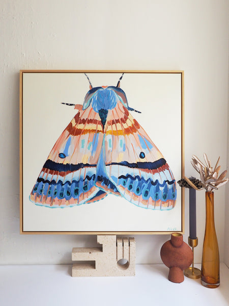 'Moth #31' CANVAS PRINT