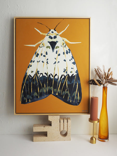 'Moth #40' CANVAS PRINT