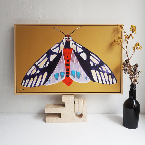 'Moth #4' CANVAS PRINT