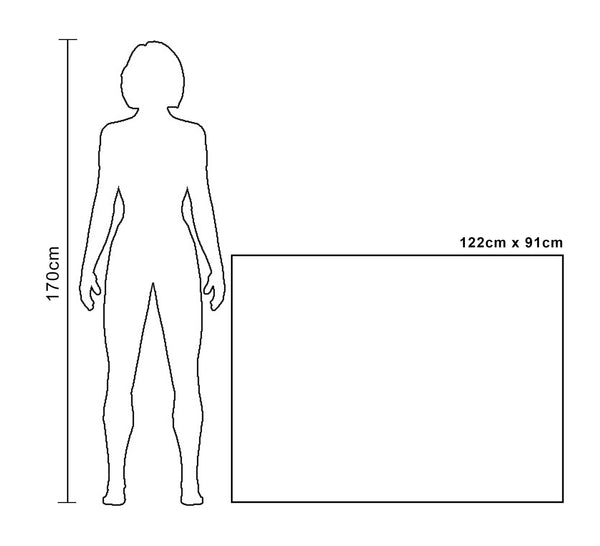 Rules Describing The Shape Of Things