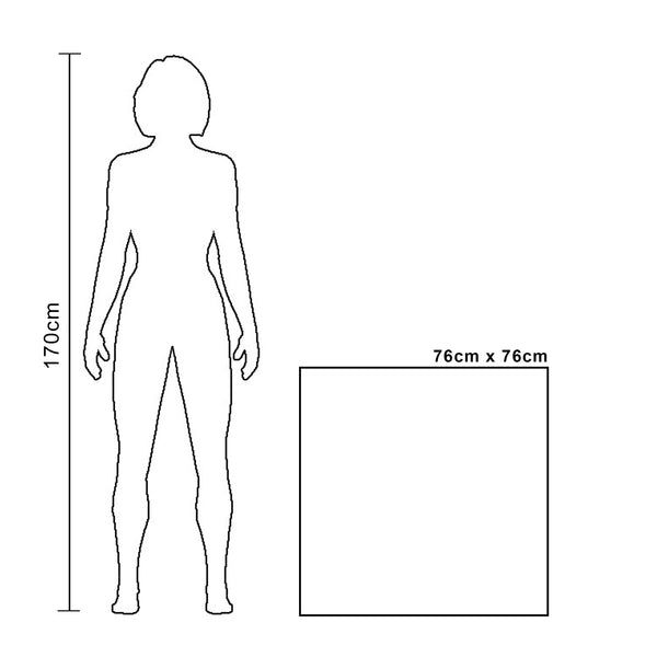 'The Cycle Of Disruption'