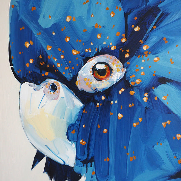 'When The Darkness Comes'