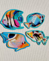 Fish Magnet Set