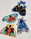 Moth 1 Magnet Set